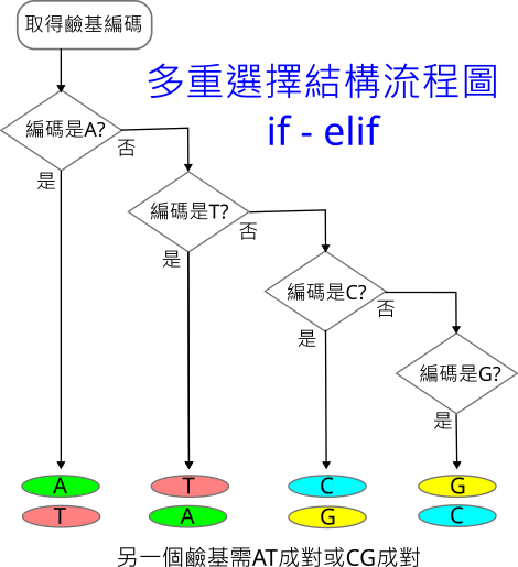 選擇結構流程圖